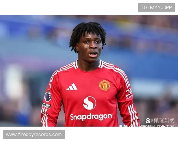 英超布莱顿曼联 英超布莱顿曼联